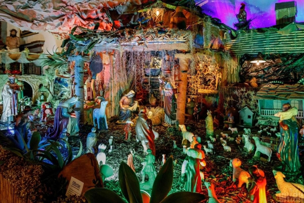 Мадейра – найбільш трендовий напрямок 2026 року: яка ситуація там у січні (фоторепортаж) 12 Мадейра – найбільш трендовий напрямок 2026 року: яка ситуація там у січні (фоторепортаж)