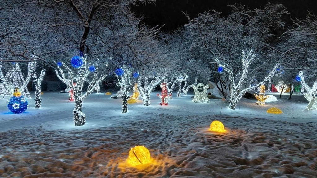 Магія світла: парк вогнів на ВДНГ під снігом засяяв по-новому (фоторепортаж, відео) 12 Магія світла: парк вогнів на ВДНГ під снігом засяяв по-новому (фоторепортаж, відео)