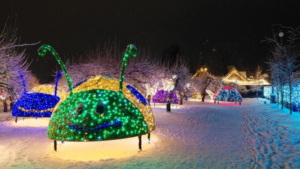 Магія світла: парк вогнів на ВДНГ під снігом засяяв по-новому (фоторепортаж, відео) 6 Магія світла: парк вогнів на ВДНГ під снігом засяяв по-новому (фоторепортаж, відео)