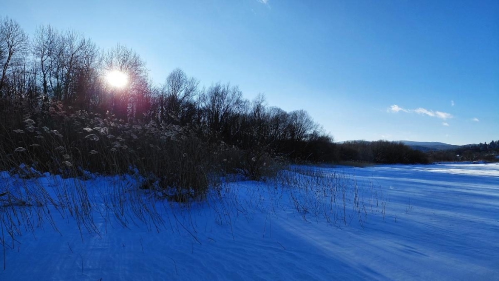 Ліси на Львівщині засипало снігом: це варто побачити (фоторепортаж) 15 Ліси на Львівщині засипало снігом: це варто побачити (фоторепортаж)