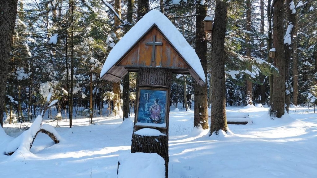 Ліси на Львівщині засипало снігом: це варто побачити (фоторепортаж) 12 Ліси на Львівщині засипало снігом: це варто побачити (фоторепортаж)