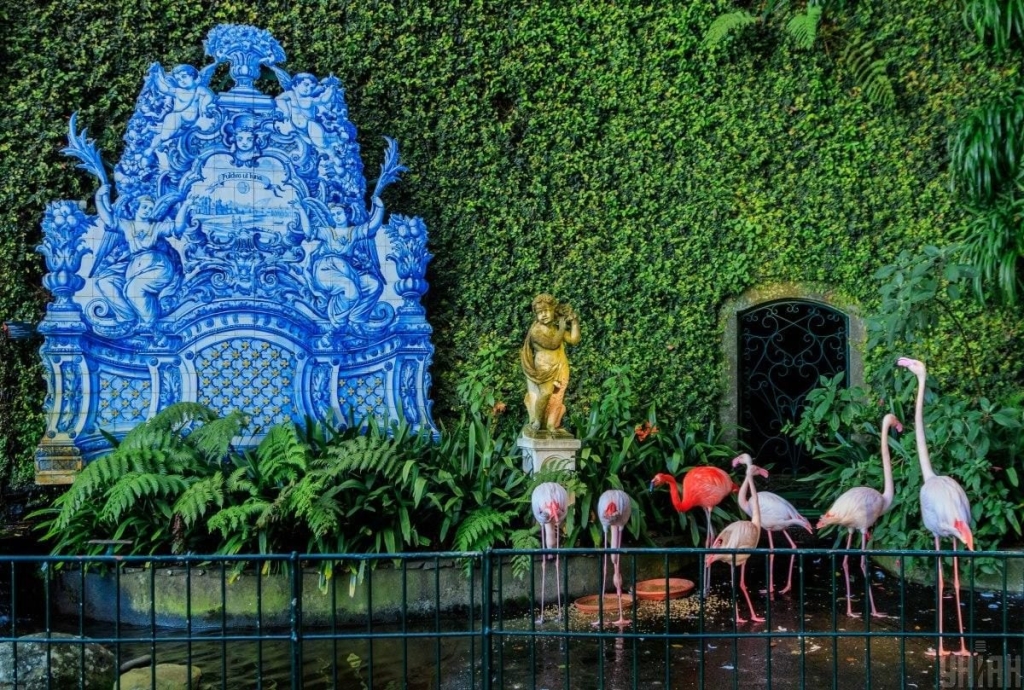 Мадейра – найбільш трендовий напрямок 2026 року: яка ситуація там у січні (фоторепортаж) 22 Мадейра – найбільш трендовий напрямок 2026 року: яка ситуація там у січні (фоторепортаж)