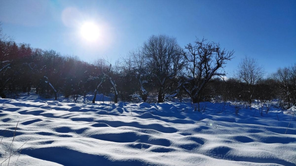 Ліси на Львівщині засипало снігом: це варто побачити (фоторепортаж) 2 Ліси на Львівщині засипало снігом: це варто побачити (фоторепортаж)