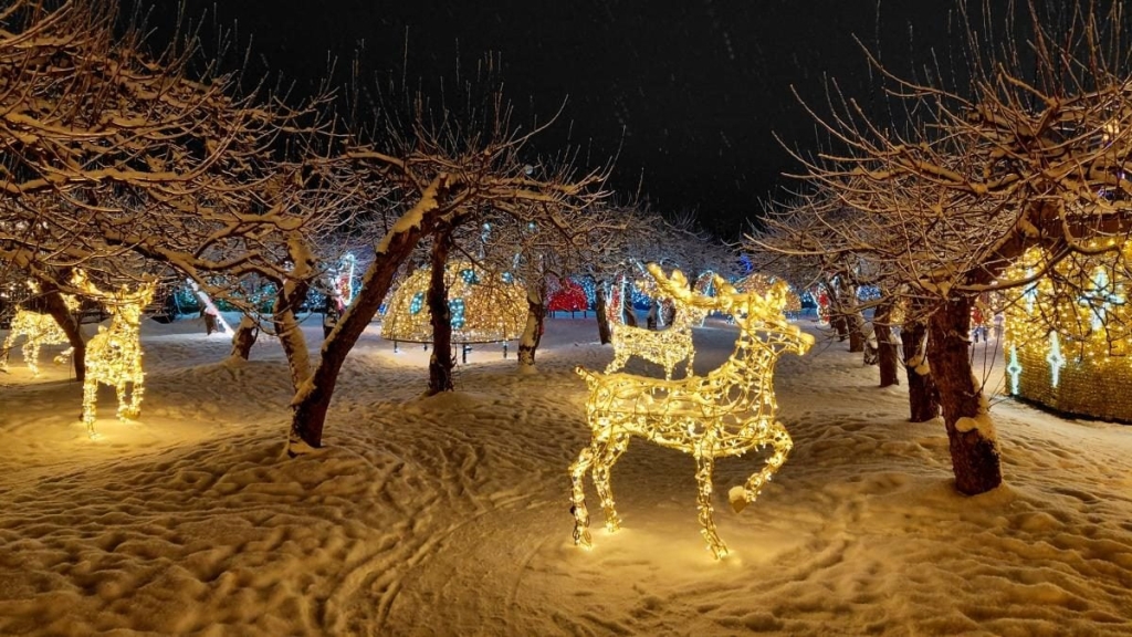 Магія світла: парк вогнів на ВДНГ під снігом засяяв по-новому (фоторепортаж, відео) 3 Магія світла: парк вогнів на ВДНГ під снігом засяяв по-новому (фоторепортаж, відео)
