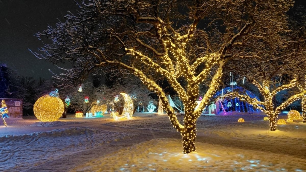 Магія світла: парк вогнів на ВДНГ під снігом засяяв по-новому (фоторепортаж, відео) 7 Магія світла: парк вогнів на ВДНГ під снігом засяяв по-новому (фоторепортаж, відео)