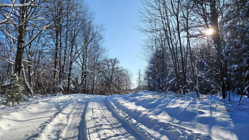 Ліси на Львівщині засипало снігом: це варто побачити (фоторепортаж) 7 Ліси на Львівщині засипало снігом: це варто побачити (фоторепортаж)
