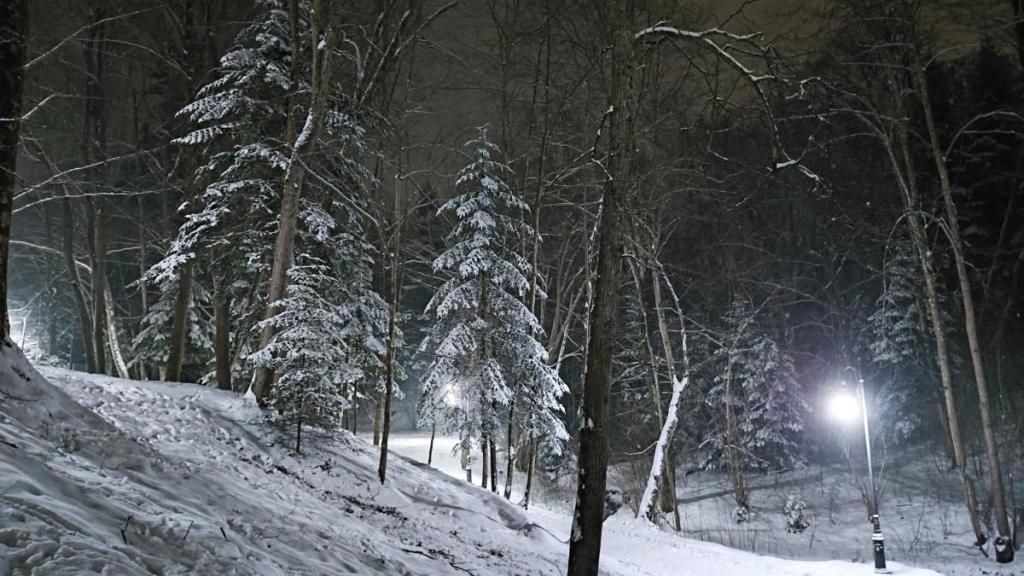 Рясні снігопади в Україні: Трускавець перетворився на справжню зимову казку (фоторепортаж) 17 Рясні снігопади в Україні: Трускавець перетворився на справжню зимову казку (фоторепортаж)