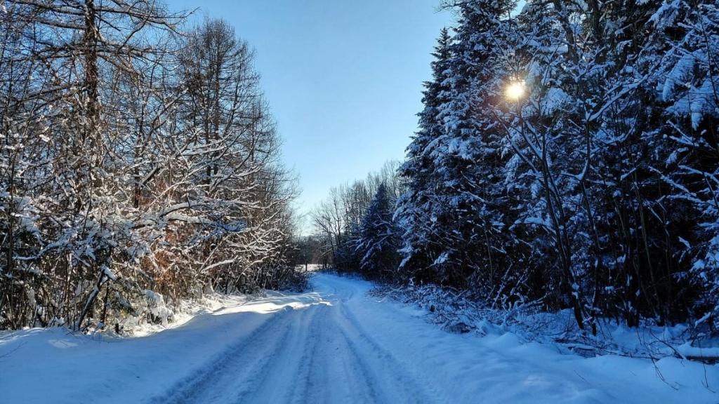 Ліси на Львівщині засипало снігом: це варто побачити (фоторепортаж) 10 Ліси на Львівщині засипало снігом: це варто побачити (фоторепортаж)