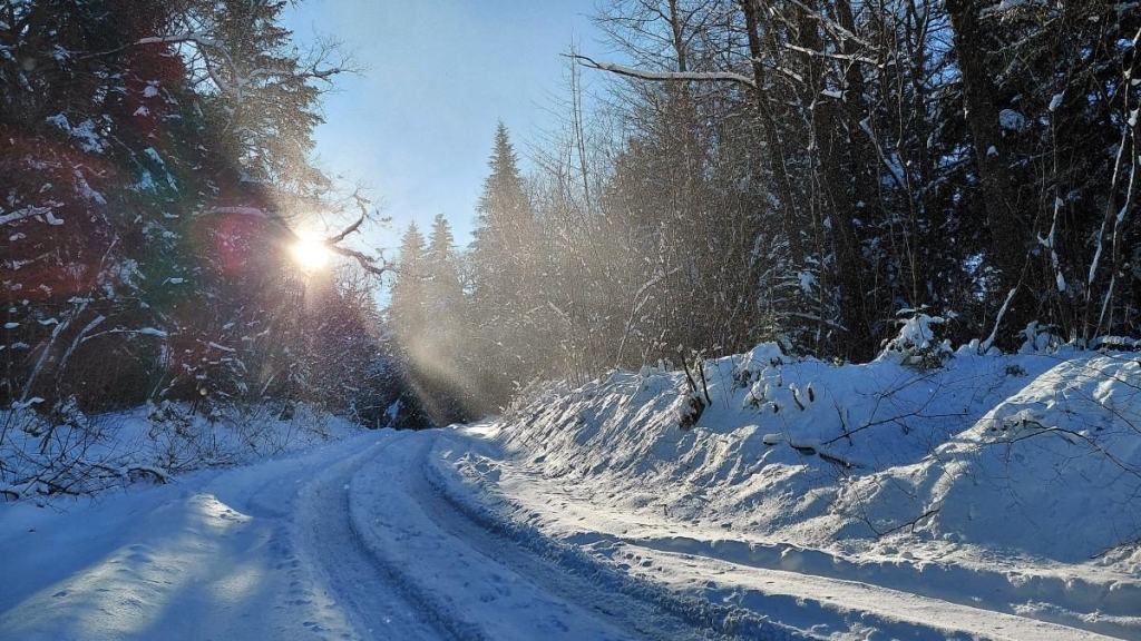 Ліси на Львівщині засипало снігом: це варто побачити (фоторепортаж) 4 Ліси на Львівщині засипало снігом: це варто побачити (фоторепортаж)