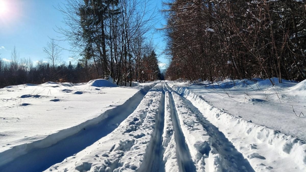 Ліси на Львівщині засипало снігом: це варто побачити (фоторепортаж) 11 Ліси на Львівщині засипало снігом: це варто побачити (фоторепортаж)