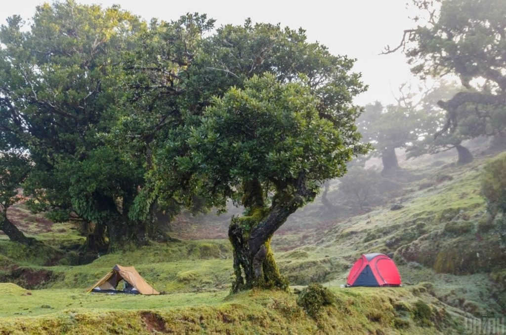 Мадейра – найбільш трендовий напрямок 2026 року: яка ситуація там у січні (фоторепортаж) 19 Мадейра – найбільш трендовий напрямок 2026 року: яка ситуація там у січні (фоторепортаж)