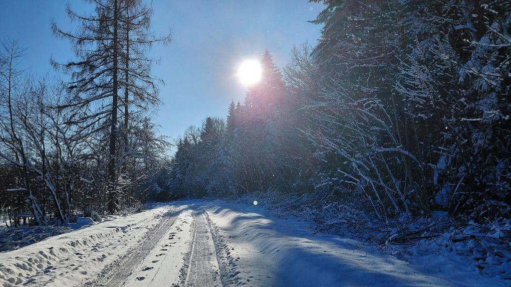 Ліси на Львівщині засипало снігом: це варто побачити (фоторепортаж) 9 Ліси на Львівщині засипало снігом: це варто побачити (фоторепортаж)