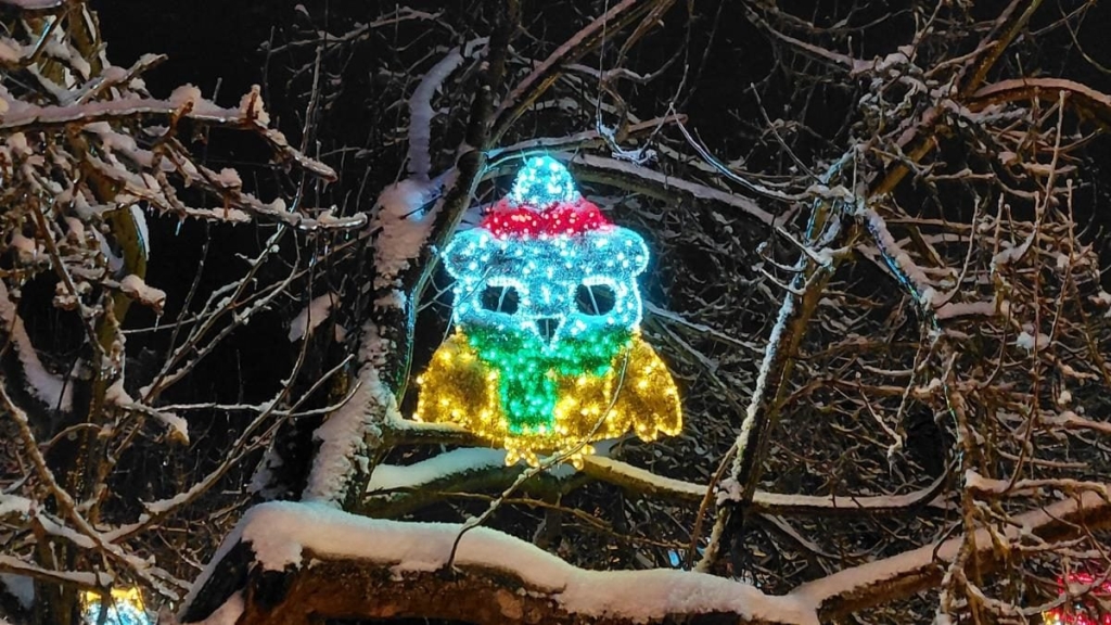 Магія світла: парк вогнів на ВДНГ під снігом засяяв по-новому (фоторепортаж, відео) 14 Магія світла: парк вогнів на ВДНГ під снігом засяяв по-новому (фоторепортаж, відео)