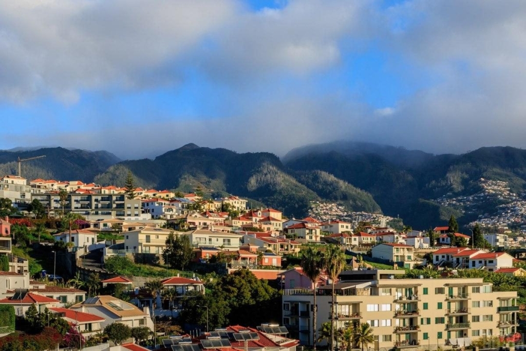 Мадейра – найбільш трендовий напрямок 2026 року: яка ситуація там у січні (фоторепортаж) 13 Мадейра – найбільш трендовий напрямок 2026 року: яка ситуація там у січні (фоторепортаж)