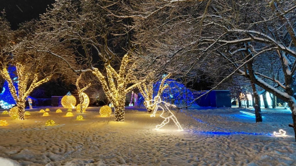 Магія світла: парк вогнів на ВДНГ під снігом засяяв по-новому (фоторепортаж, відео) 54