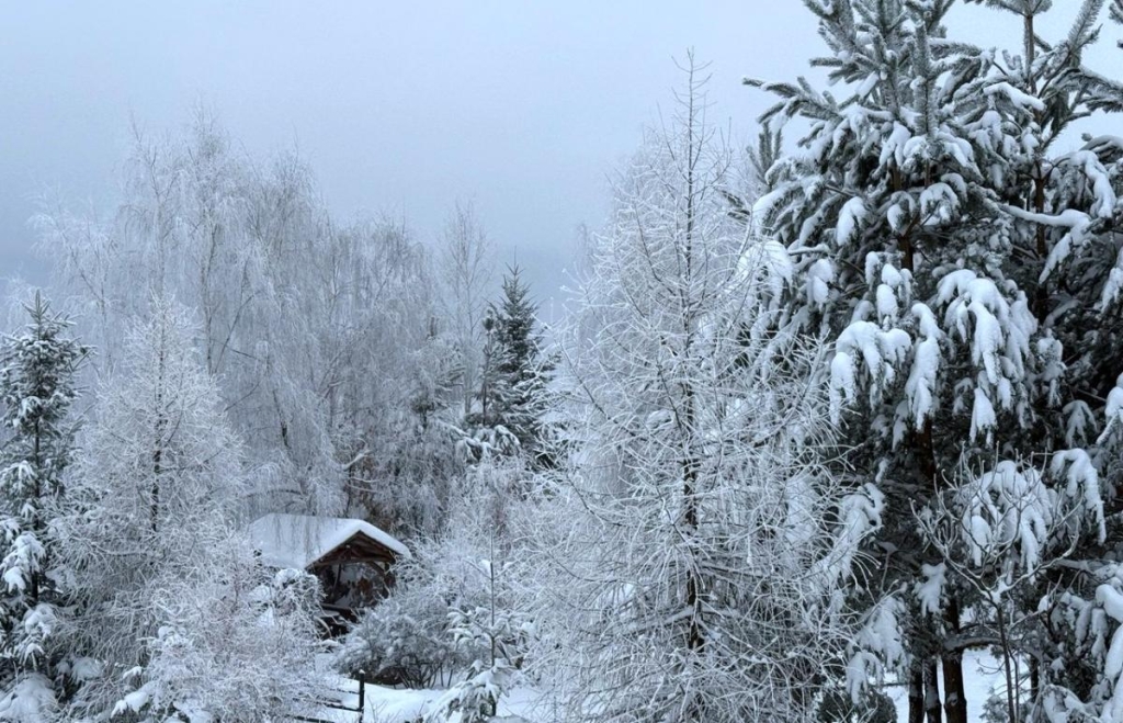 Не Буковелем єдиним: чим туристів приваблює гірськолижний курорт Красія 11 Не Буковелем єдиним: чим туристів приваблює гірськолижний курорт Красія