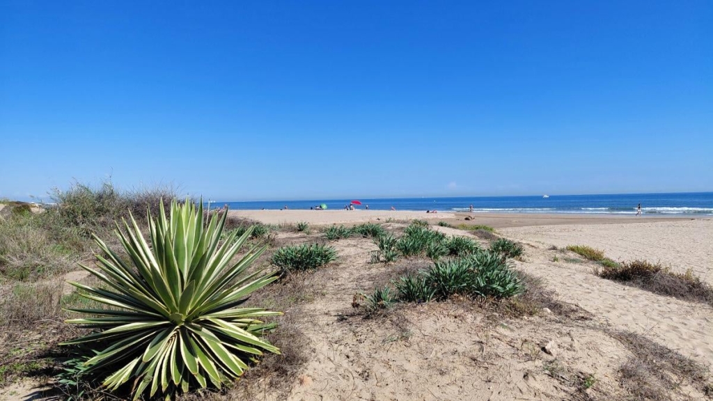 Погрітися у Валенсії: що варто встигнути за першу поїздку до приморської перлини Іспанії 18 Погрітися у Валенсії: що варто встигнути за першу поїздку до приморської перлини Іспанії