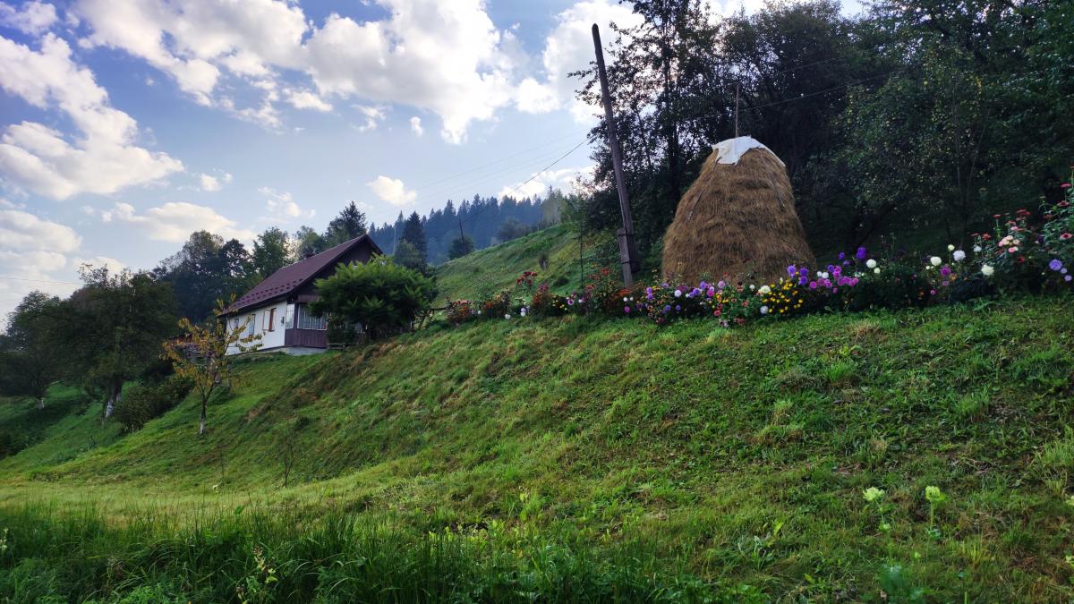 Куди подорожували та які мали наміри: інформація про внутрішній туризм в Україні у 2025 році 1 У які місця їздили та чого хотіли: що відомо про внутрішній туризм в Україні у 2025 році