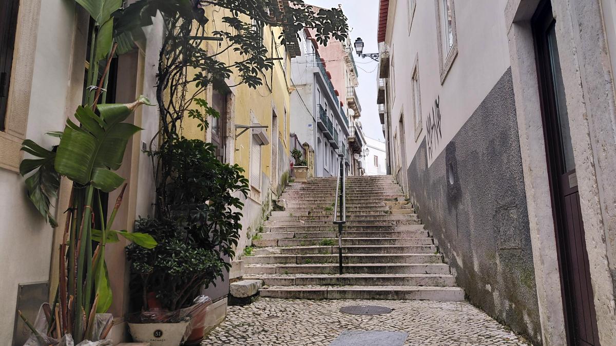 Португалія в лютому з курсом євро 52: переваги, недоліки, можливі труднощі 11 Португалія у лютому з курсом євро 52: плюси, мінуси, підводні камені