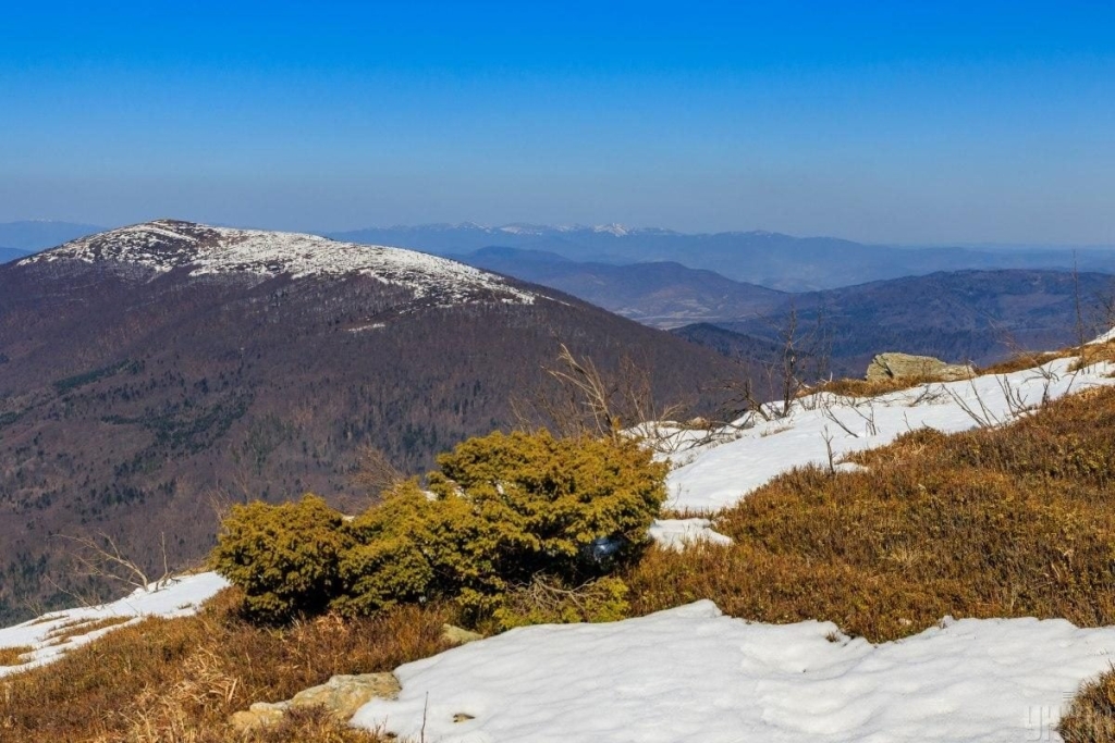 Весняні походи в Карпатах: що цікавого пропонує Полонина Руна в Закарпатті (фоторепортаж) 8 Весняний хайкінг в Карпатах: чим туристів приваблює Полонина Руна на Закарпатті (фоторепортаж)