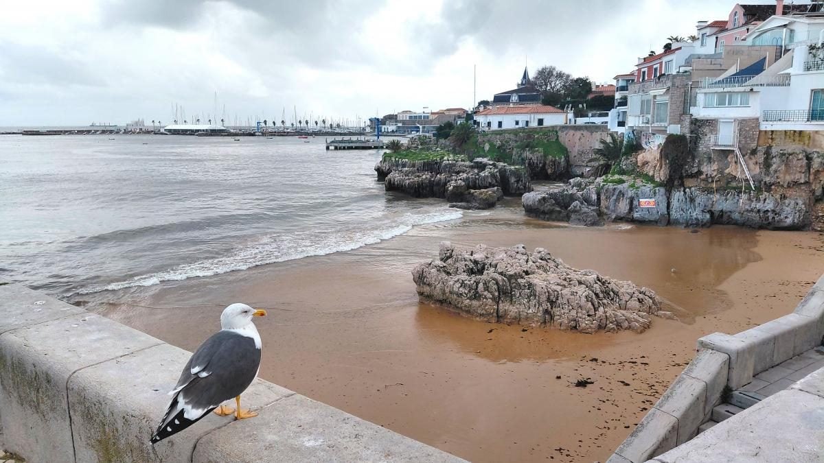 Кашкайш: комфортний курорт на узбережжі Португалії з можливістю відвідати печеру Диявола. 2 Кашкайш: затишний пляжний курорт в Португалії, де можна зазирнути в пащу Диявола