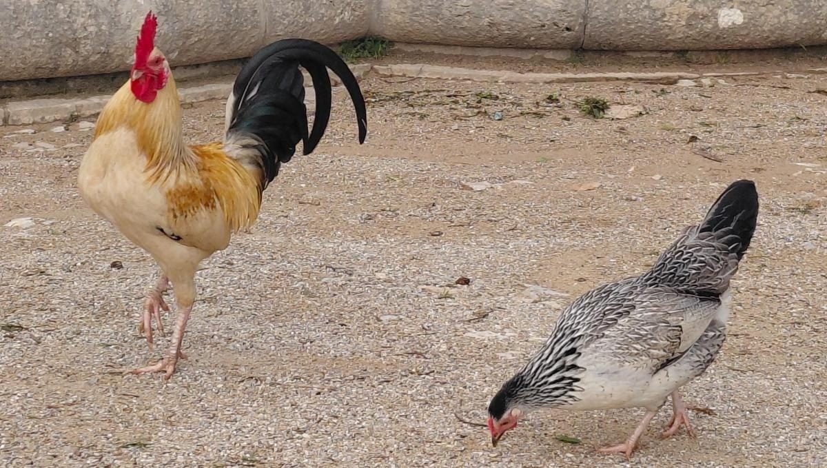 Кашкайш: комфортний курорт на узбережжі Португалії з можливістю відвідати печеру Диявола. 11 Кашкайш: затишний пляжний курорт в Португалії, де можна зазирнути в пащу Диявола