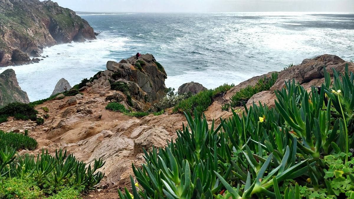 Мис Рока в Португалії: способи дістатися до краю світу та насолодитися краєвидами 15 Мис Рока в Португалії: як потрапити на край світу і завмерти від захвату