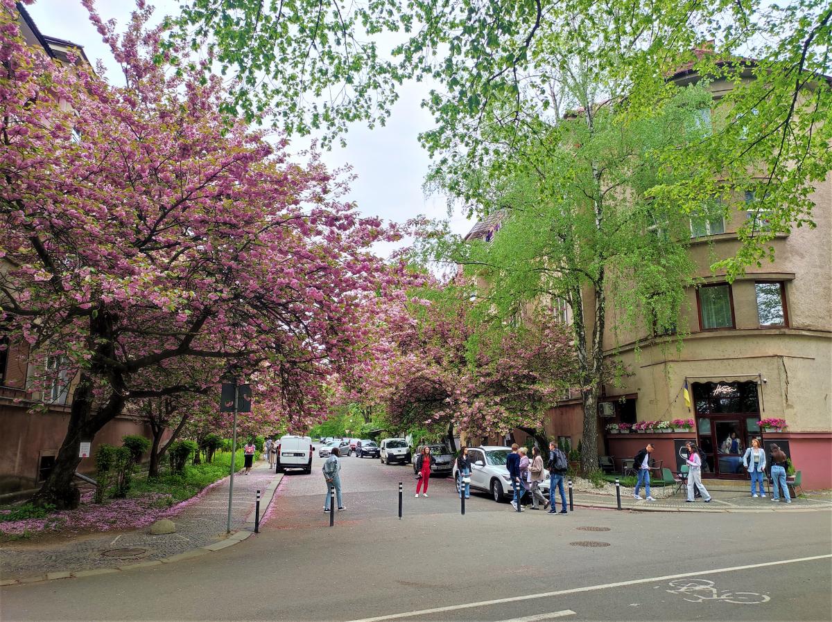 5 варіантів для весняної подорожі на вихідні в Україні: від сакур до пам'ятників Шевченку 1 5 ідей для весняної подорожі на вихідні по Україні: від сакур до Шевченка