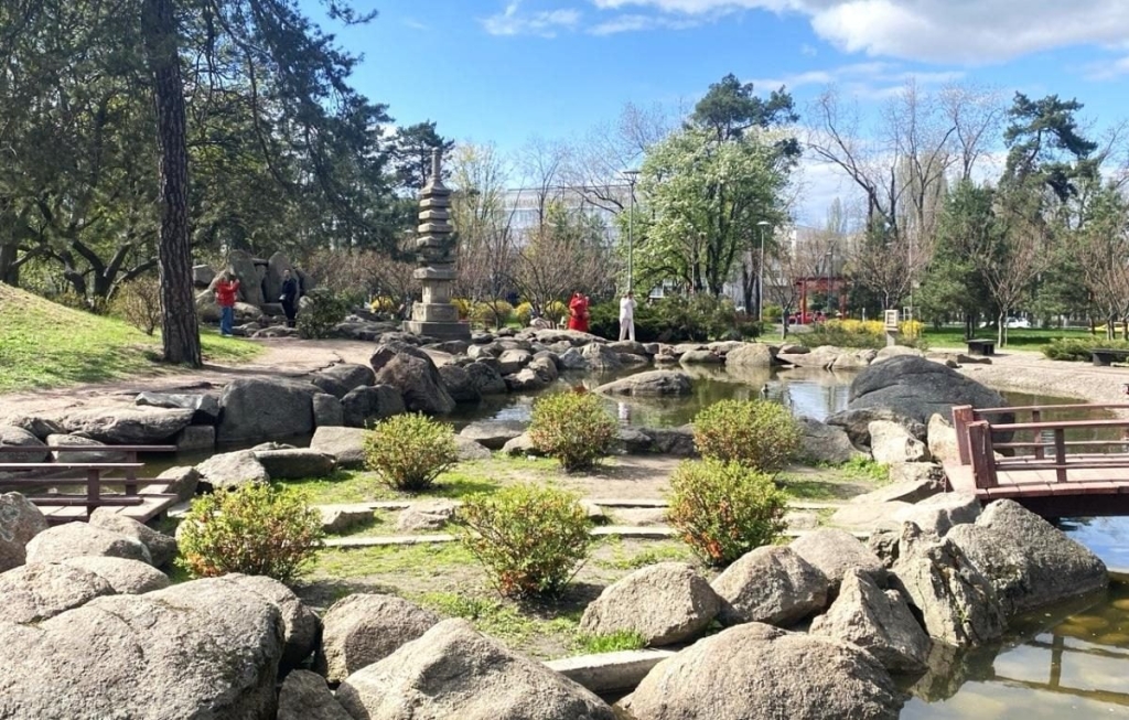 У Києві розпочався цвітіння сакур: у парку "Кіото" також привертають увагу відвідувачів магнолії (фото) 5 В Києві почали цвісти сакури: в парку "Кіото" також радують відвідувачів і магнолії (фото)