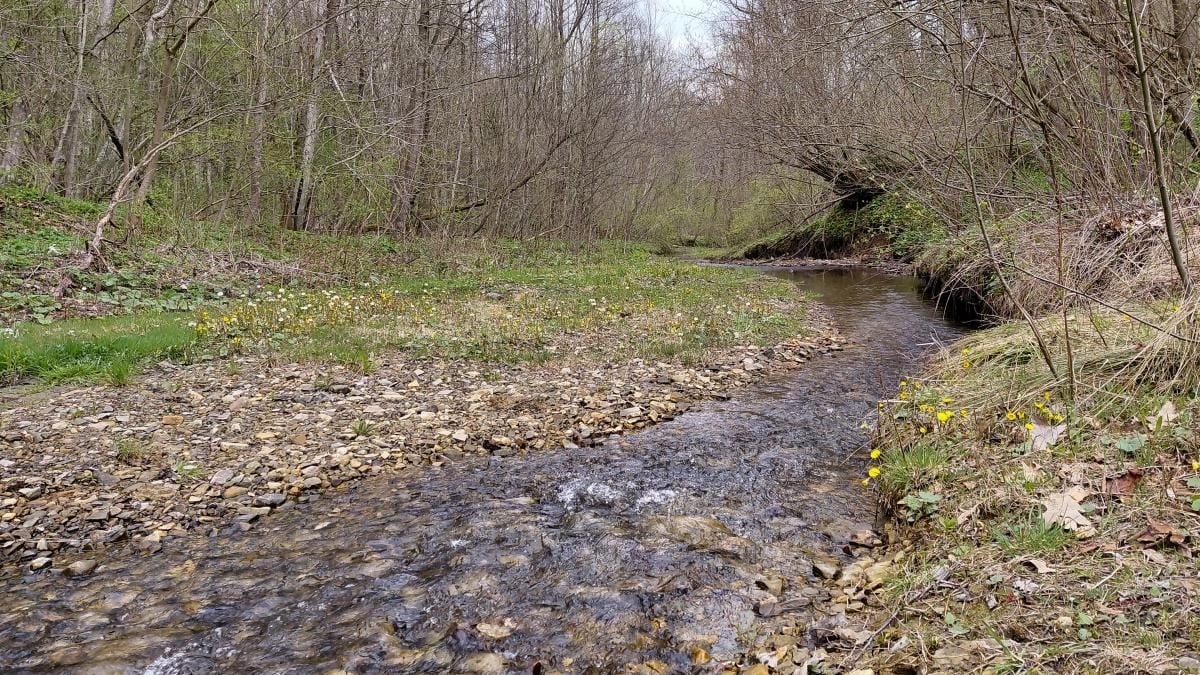 Доброгостів: спокійна прогулянка до живописного озера поблизу Трускавця 18 Доброгостів: розслабляючий похід до мальовничого озера з Трускавця