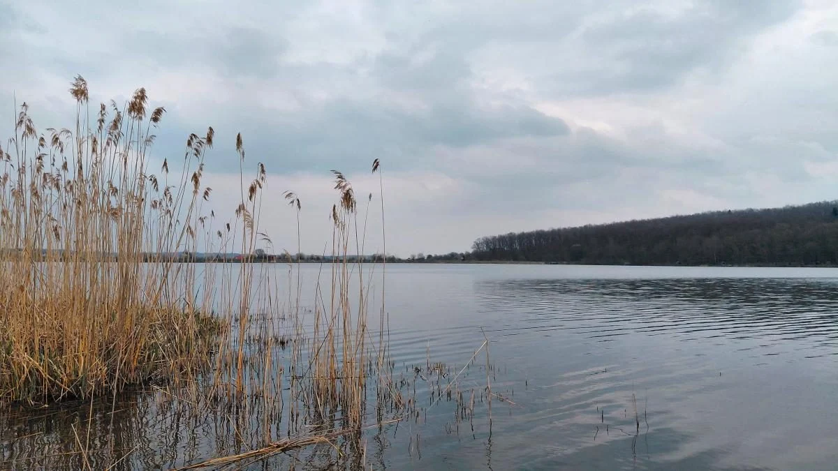 Доброгостів: спокійна прогулянка до живописного озера поблизу Трускавця 20 Доброгостів: розслабляючий похід до мальовничого озера з Трускавця