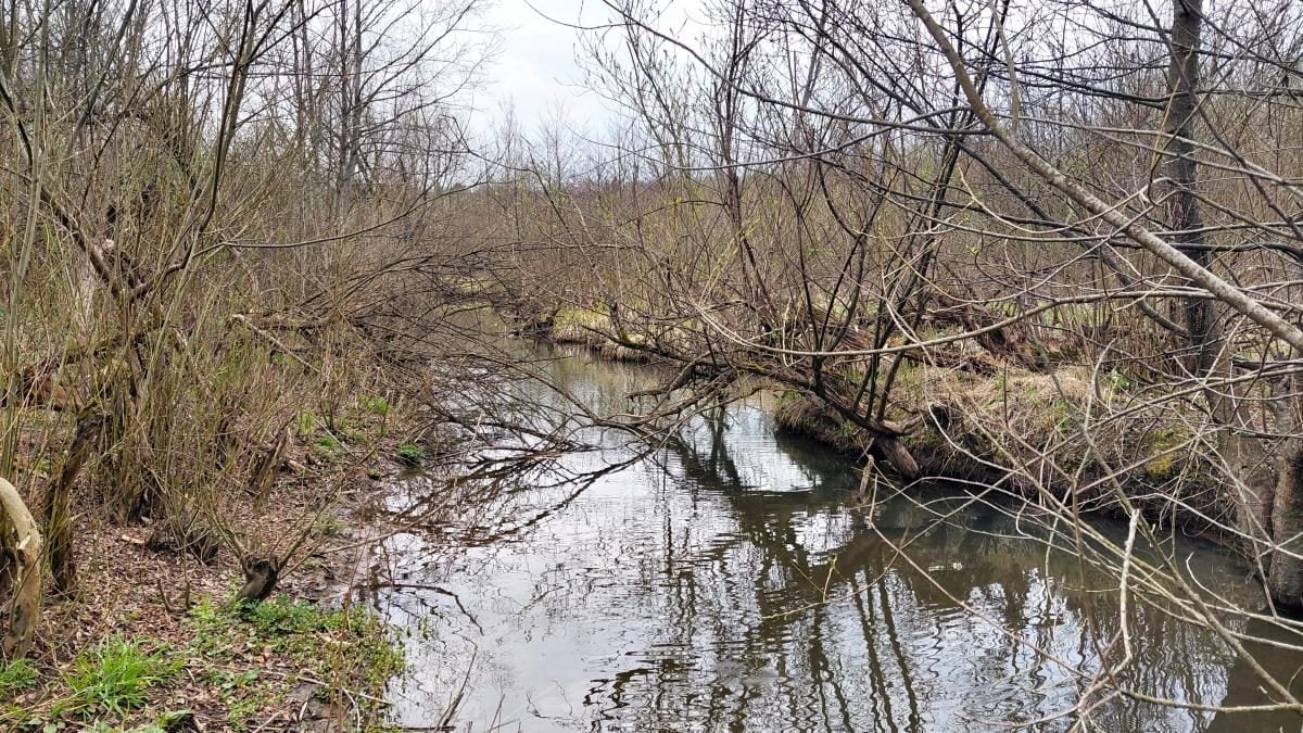 Доброгостів: спокійна прогулянка до живописного озера поблизу Трускавця 19 Доброгостів: розслабляючий похід до мальовничого озера з Трускавця
