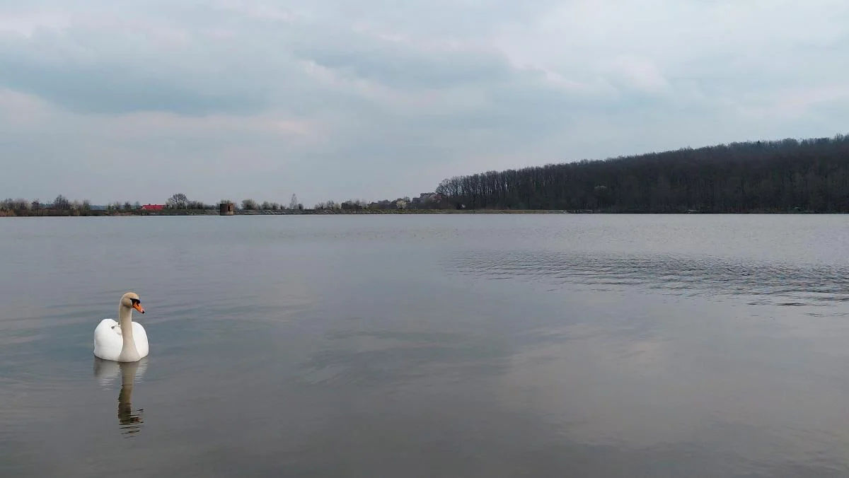 Доброгостів: спокійна прогулянка до живописного озера поблизу Трускавця 5 Доброгостів: розслабляючий похід до мальовничого озера з Трускавця