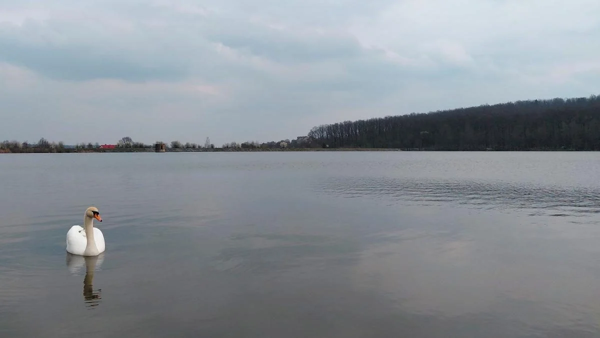 Доброгостів: спокійна прогулянка до живописного озера поблизу Трускавця 22 Доброгостів: розслабляючий похід до мальовничого озера з Трускавця