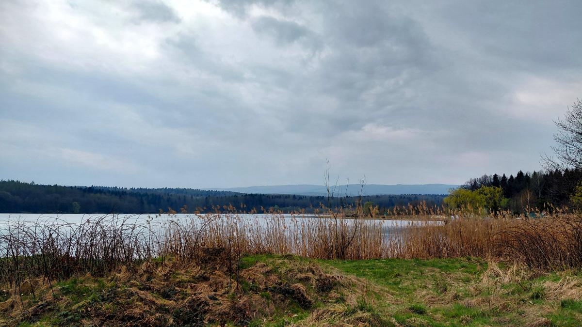 Доброгостів: спокійна прогулянка до живописного озера поблизу Трускавця 4 Доброгостів: розслабляючий похід до мальовничого озера з Трускавця
