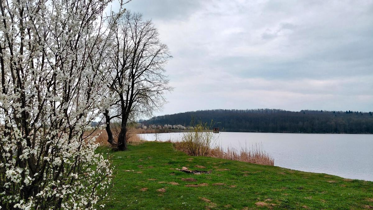 Доброгостів: спокійна прогулянка до живописного озера поблизу Трускавця 2 Доброгостів: розслабляючий похід до мальовничого озера з Трускавця