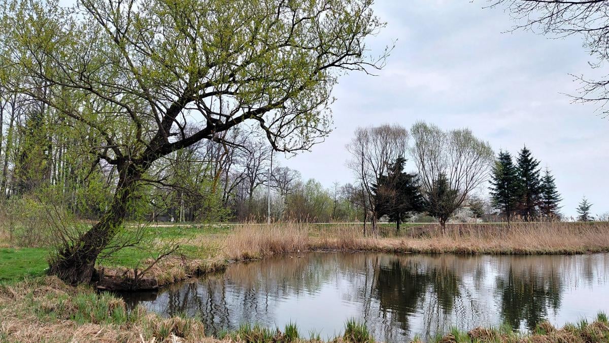 Доброгостів: спокійна прогулянка до живописного озера поблизу Трускавця 3 Доброгостів: розслабляючий похід до мальовничого озера з Трускавця