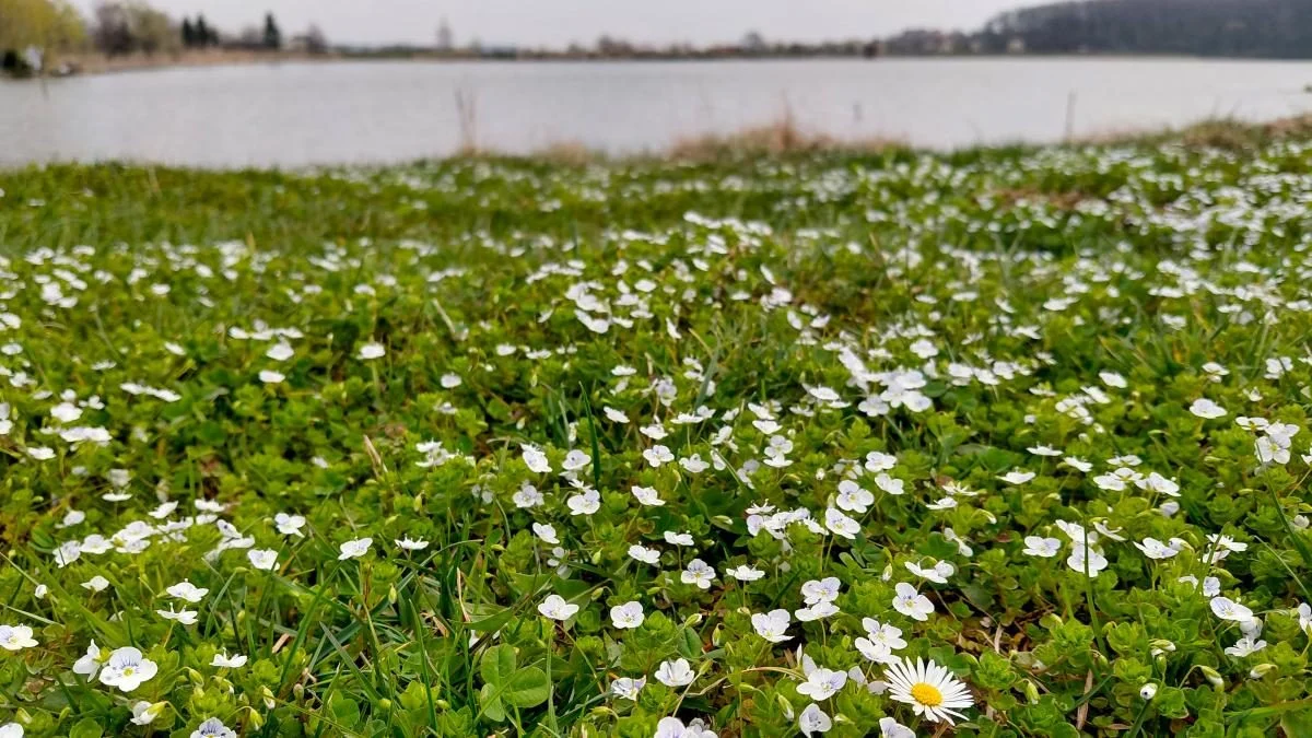 Доброгостів: спокійна прогулянка до живописного озера поблизу Трускавця 23 Доброгостів: розслабляючий похід до мальовничого озера з Трускавця