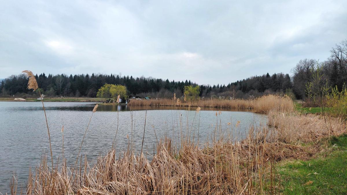 Доброгостів: спокійна прогулянка до живописного озера поблизу Трускавця 1 Доброгостів: розслабляючий похід до мальовничого озера з Трускавця