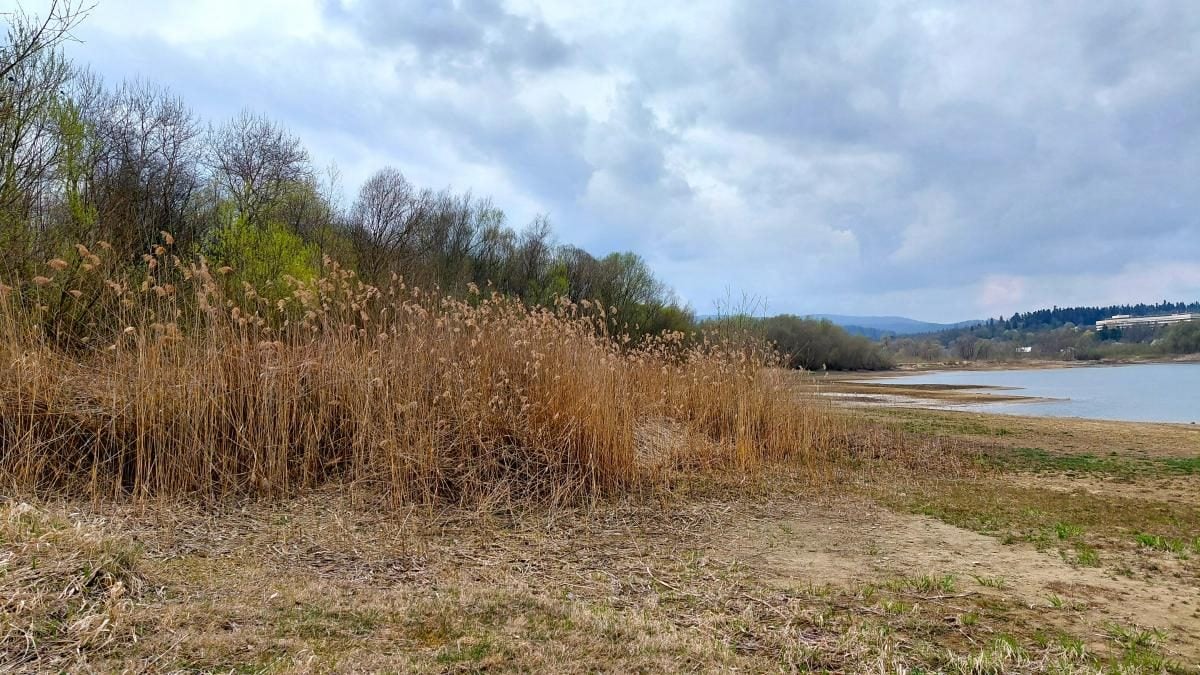 Доброгостів: спокійна прогулянка до живописного озера поблизу Трускавця 8 Доброгостів: розслабляючий похід до мальовничого озера з Трускавця