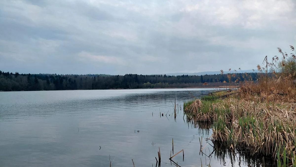 Доброгостів: спокійна прогулянка до живописного озера поблизу Трускавця 21 Доброгостів: розслабляючий похід до мальовничого озера з Трускавця