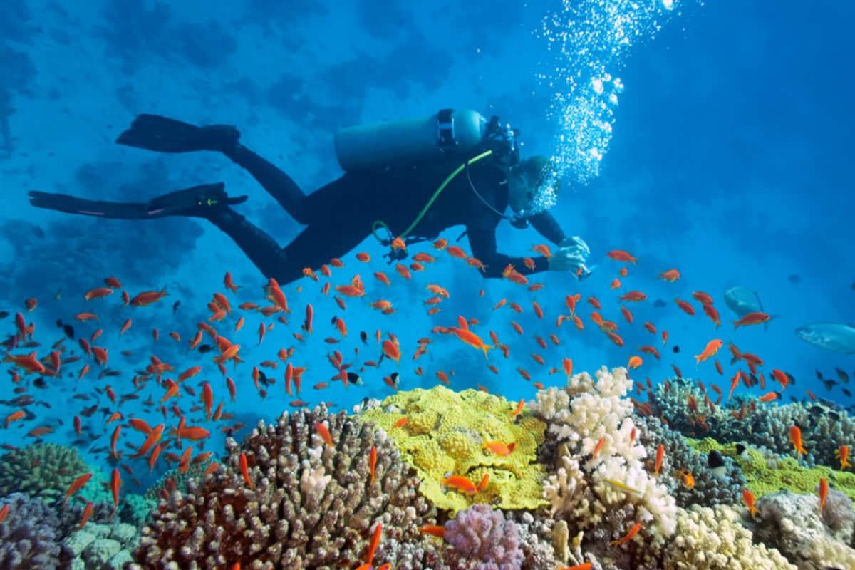 Підводні загадки: 6 локацій, які привертають увагу дайверів з різних країн у 2026 році 1 Підводні таємниці: 6 місць, куди дайвери з усього світу мріють потрапити у 2026 році