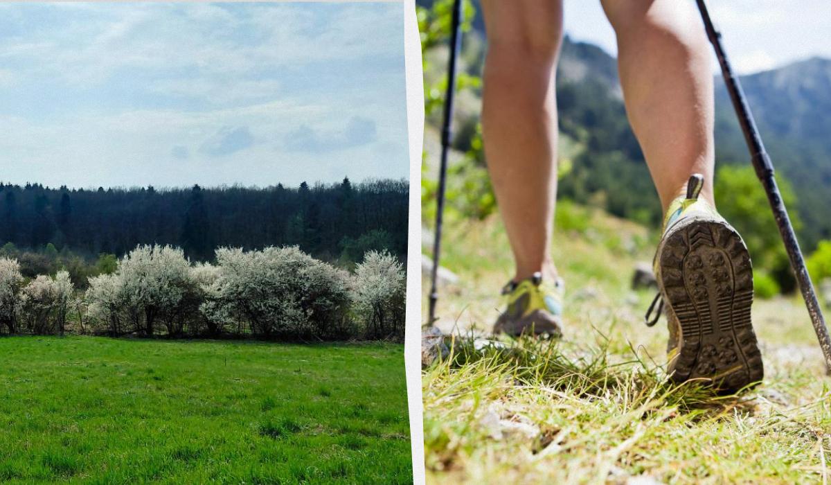 Україна увійде до складу одного з найпопулярніших туристичних шляхів Європи. 1 Україна стане частиною одного з найвідоміших туристичних маршрутів Європи