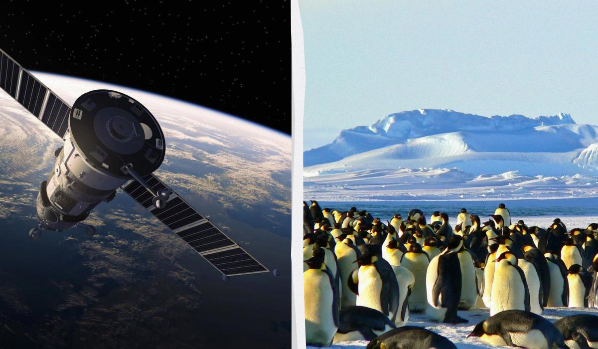 Уникнути скупчень людей у космосі або на полюсах: представлені найунікальніші туристичні пропозиції у світі. 1 Втекти від натовпів у космос або на полюси: названо найексклюзивніші тури у світі