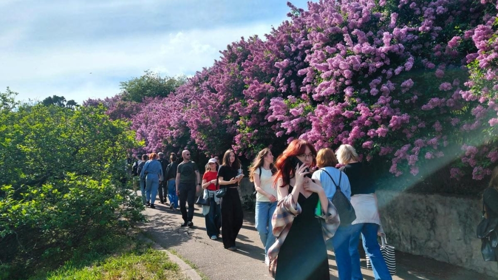 У київському ботанічному саду спостерігається великий наплив відвідувачів через цвітіння бузку (фоторепортаж) 4 Не проштовхнутися: у київському ботсаду ажіотаж через цвітіння бузку (фоторепортаж)