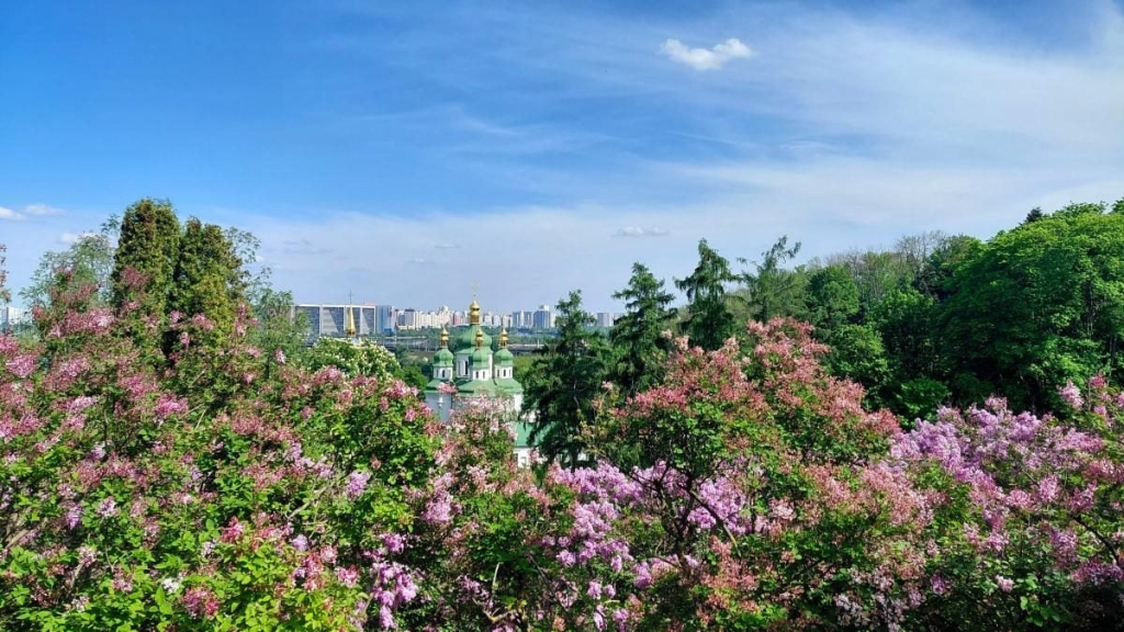У київському ботанічному саду спостерігається великий наплив відвідувачів через цвітіння бузку (фоторепортаж) 3 Не проштовхнутися: у київському ботсаду ажіотаж через цвітіння бузку (фоторепортаж)