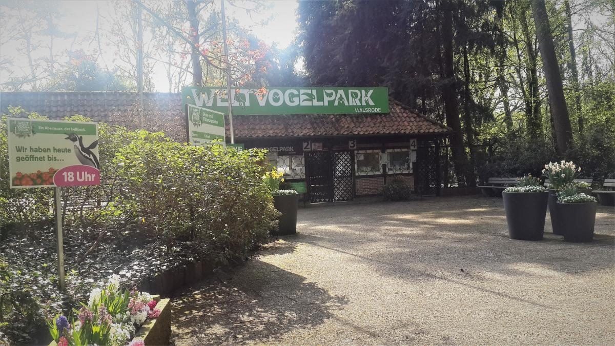 Гамбург: невідома цінність на півночі Німеччини як альтернатива переповненому Берліну 16 Гамбург: прихована перлина на півночі Німеччини на заміну переповненому Берліну